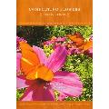POWER OF FLOWERS - COMFORTING FLOWERS [IMPORT]