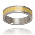 Gold Plated Grooved Polished Titanium Ring