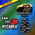 Duranguense Y Otras - Las Que Pegaron