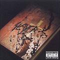 Slayer - God Hates Us All