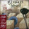 Crowded House - Time On Earth *