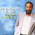 Marvin Gaye - Sexual Healing