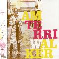 Terri Walker - I Am