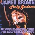 James Brown - Funky Goodtime