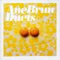 BRUN, ANE - DUETS [IMPORT]