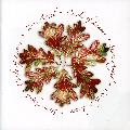 STONE ANGEL - CIRCLE OF LEAVES [IMPORT]