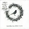 Marissa Nadler - Song 3: Bird On The Water
