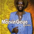 GAYE, MARVIN - MARVIN GAYE STORY [IMPORT]