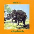 VARIOUS ARTISTS - THIS IS ELEPHUNK [IMPORT]