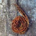 Nine Inch Nails - Further Down The Spiral [EP]