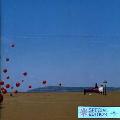 CRANBERRIES - WAKE UP AND SMELL THE COFFEE (+3 BONUS TRACKS) [IM