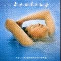 BRADSTREET, DAVID - HEALING [IMPORT]