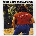 SULLIVAN, BIG JIM - BIG JIM'S BACK [IMPORT]