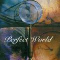 PERFECT WORLD - PERFECT WORLD [IMPORT]
