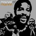 Various Artists - Marvel Of Marvin