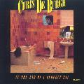 DE BURGH,CHRIS - AT THE END OF A PERFECT DAY [IMPORT]