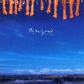 MCCARTNEY, PAUL - OFF THE GROUND [IMPORT]