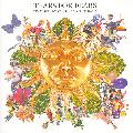TEARS FOR FEARS - TEARS ROLL DOWN (GREATEST  HITS 82-92) [IMPORT