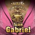 Juan Gabriel - Tributo Duranguense a