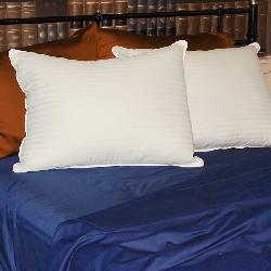 Cotton Plush Density Pillows (Set of 2)