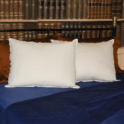Ultimate Cotton Plush Density Pillows (Set of 2)