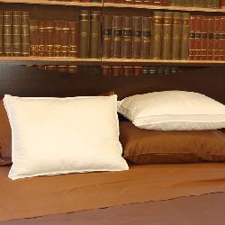 Down-like 500 Thread Count Pillows (Set of 2)