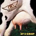 Aerosmith - Get A Grip (12 X 12 Jpn LP Sleeve)