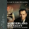 Bert Kaempfert - Wonderland By Night