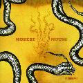 MODEST MOUSE - DASHBOARD [IMPORT]