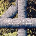 Cheo Hurtado - Cuatro Arpas Y Un Cuatro