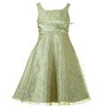 Bonnie Jean Girl's Special Occasion Dress