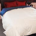 Oversized Natural White Down Comforter