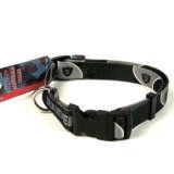 Oakland Raiders Adjustable Pet Collar