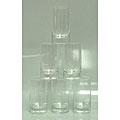 Schott Zwiesel 'Paris' Tritan Crystal Tumblers (Set of 6)