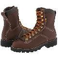 Danner Quarry GTX ST 8 Brown