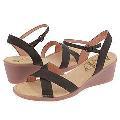 Camper Catalina-20321 Brown