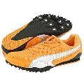 Puma Complete TF Allround II Men's Shoes