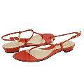Bally Elaenia Copper