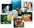 National Geographic Ellowah Falls Mouse Pad