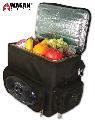 Car Sport Fridge with 10-liter Capacity and AM/FM Radio