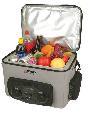 Car Thermo Fridge/ Warmer with 18-liter Capacity and FM Radio