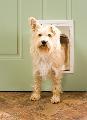 PetSafe Freedom Premium Medium White Pet Door