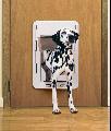 Quick Fit Large White Pet Door