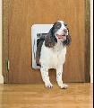 Quick Fit Medium White Pet Door