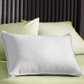 Extra Loft 1000 Thread Count Gusseted Pillow (Set of 2)