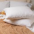 Advance Coolmax Pillows (Set of 2)