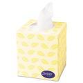 Surpass 2-ply Boutique Pop-up Box White Facial Tissue (Case of 36)