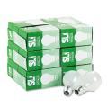 SLI Lighting 75 Watt Incandescent Bulb (Case of 24)