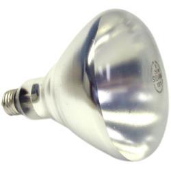 Shat-R-Shield 250 Watt Clear Heat Coated Lamp