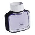 Z Zegna by Ermenegildo Zegna Men's 3.3-ounce EDT Spray